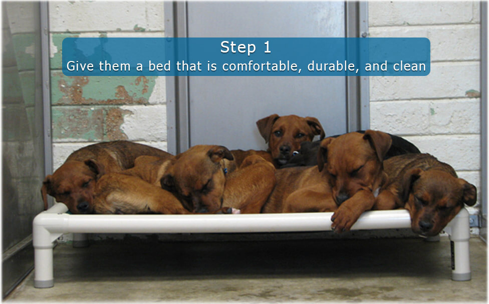 What is Shelter Bed? Kuranda Dog Beds